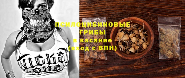 альфа пвп Армянск