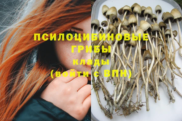 альфа пвп Армянск